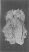 478-3