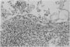 478-5