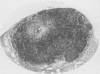 478-7