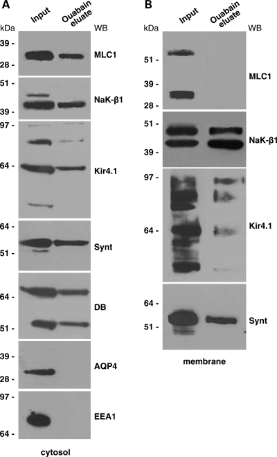 Figure 2.