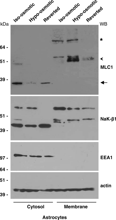 Figure 4.