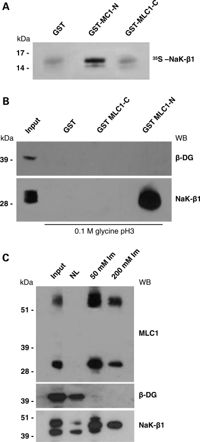 Figure 1.