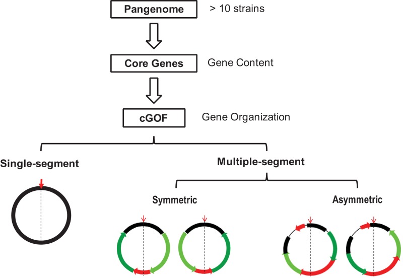 FIG 1 