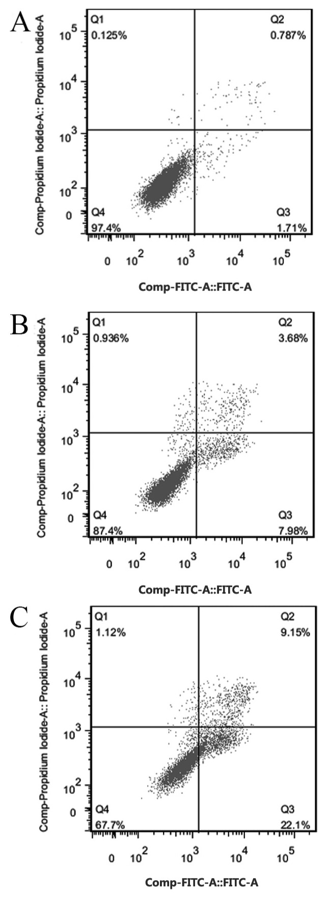 Figure 3.