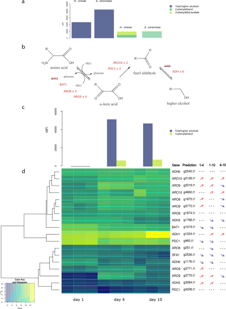 FIG 4