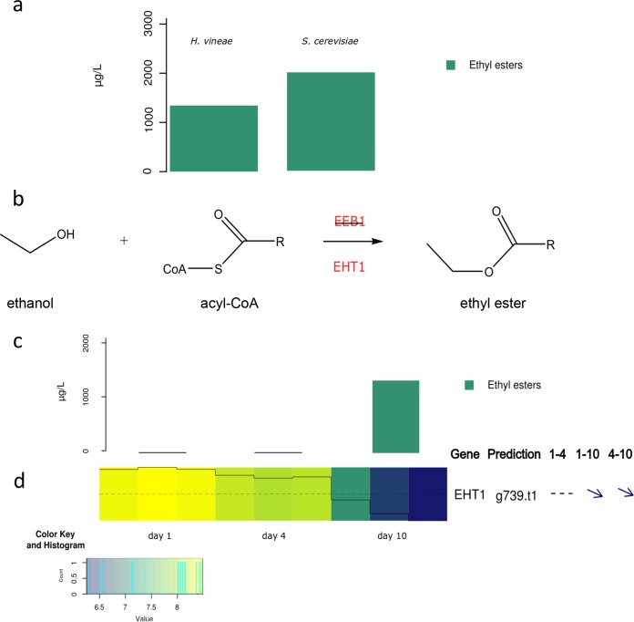 FIG 6