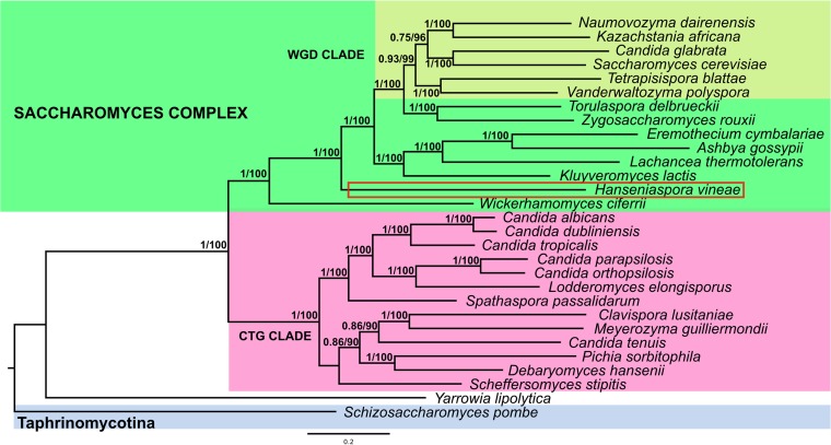 FIG 2