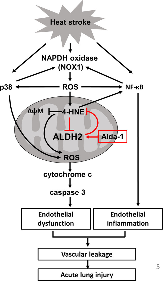 Figure 5