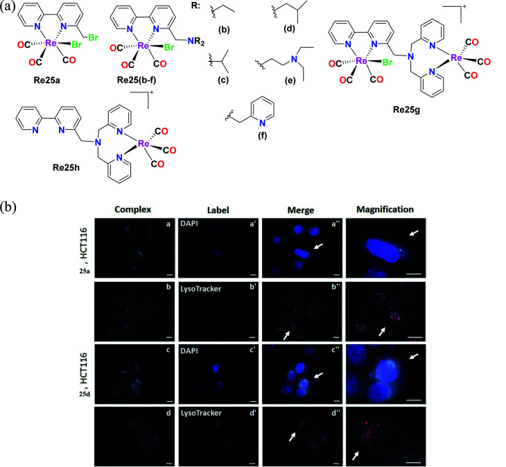 Fig. 15