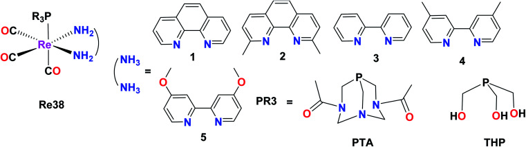 Fig. 29