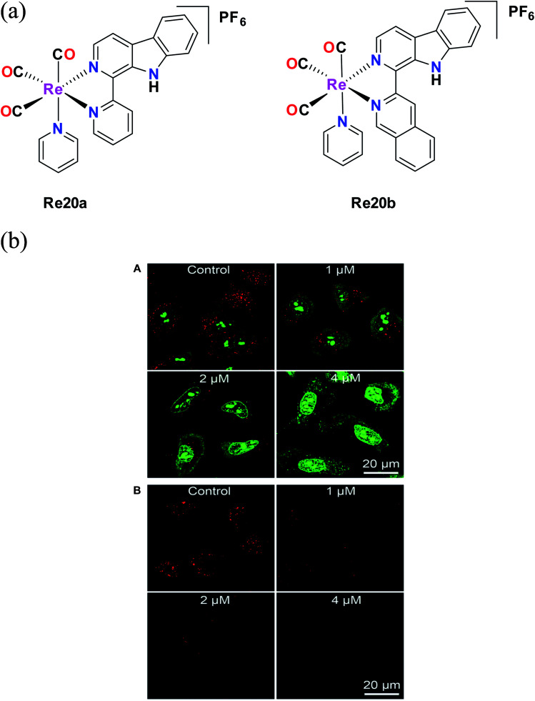 Fig. 10