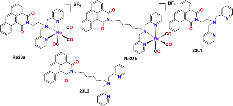 Fig. 13