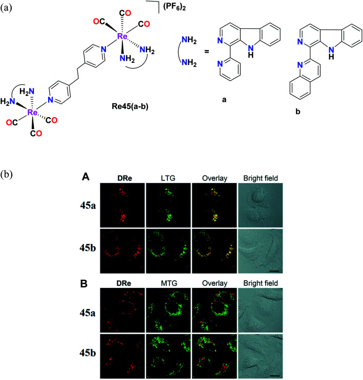 Fig. 36