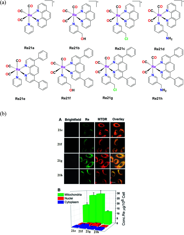 Fig. 11