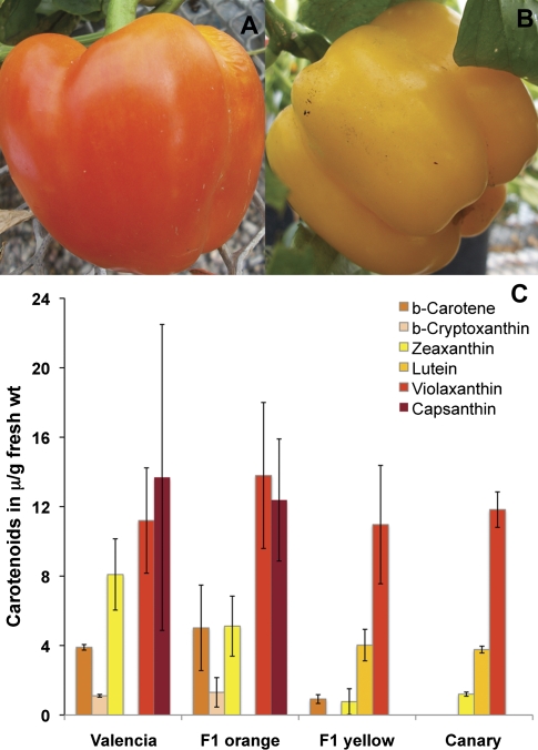 Fig. 7.