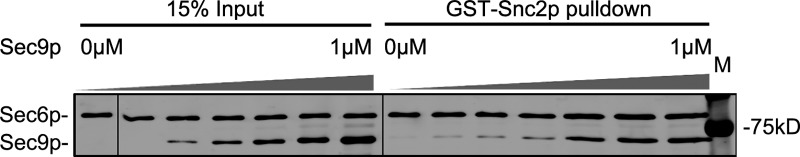 Figure 9.