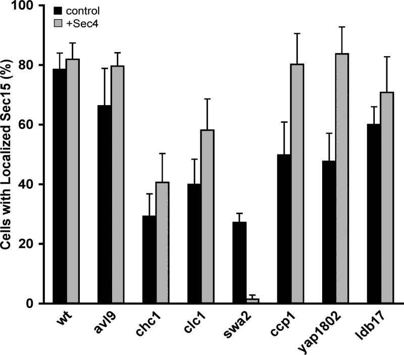 Figure 10.