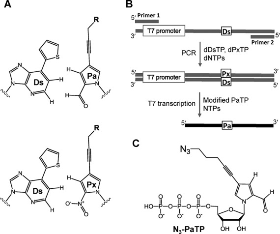 Figure 1.