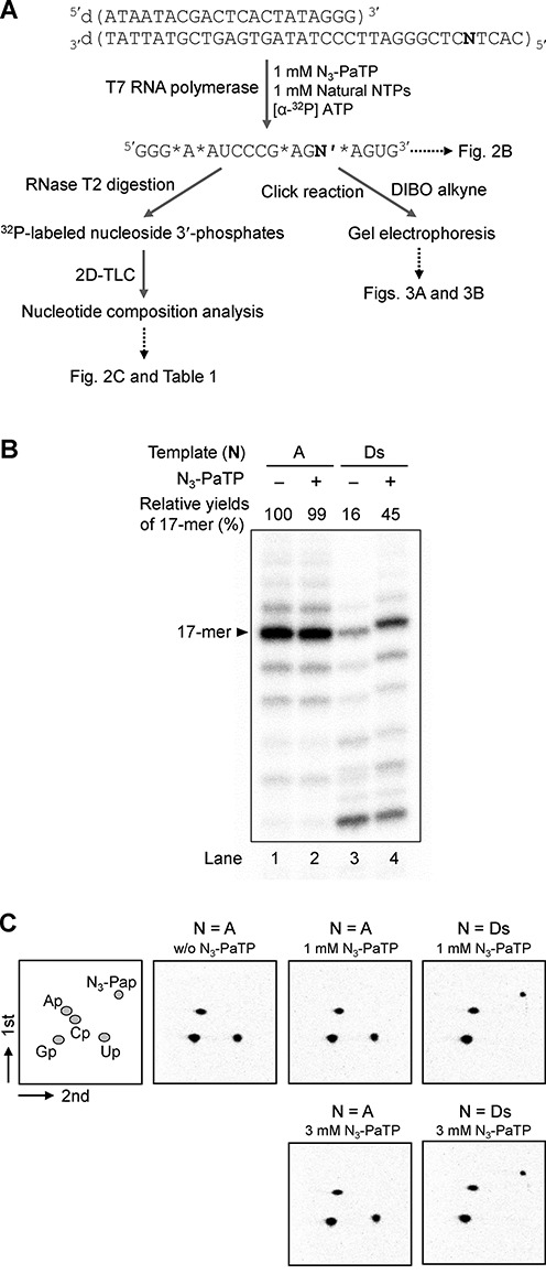 Figure 2.