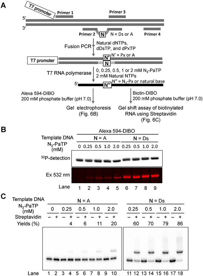 Figure 6.