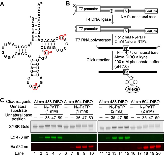 Figure 4.