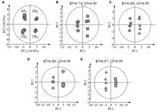 FIGURE 3