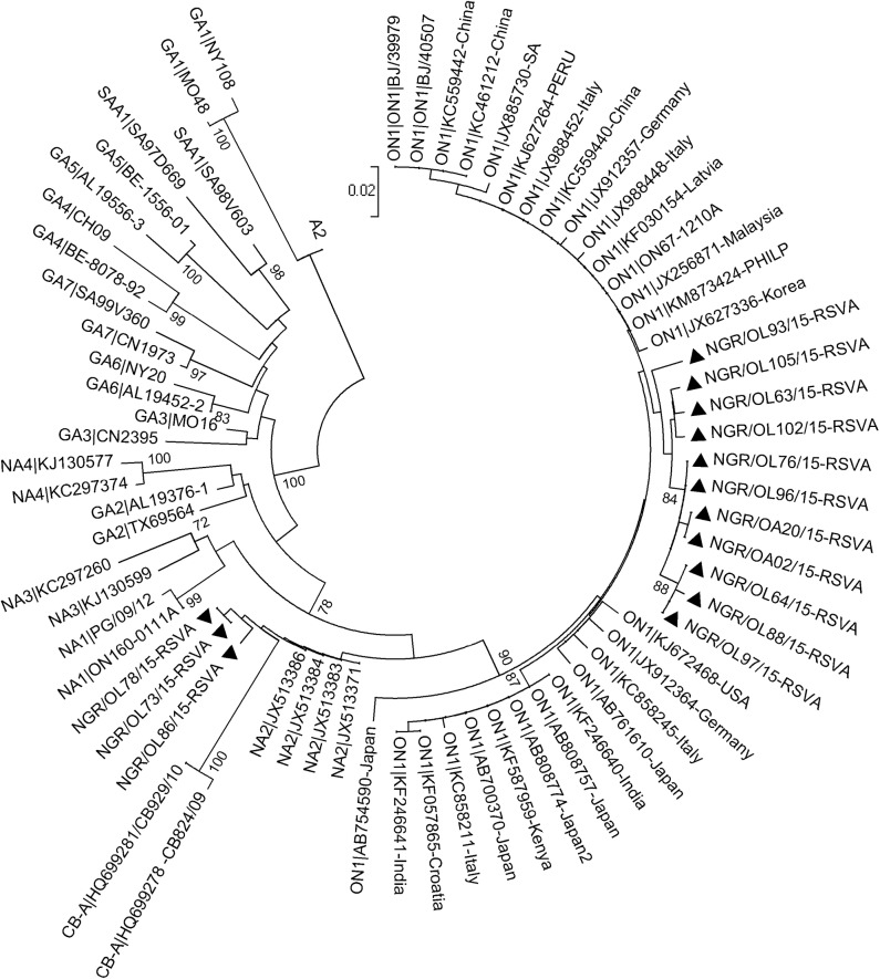 Fig 1