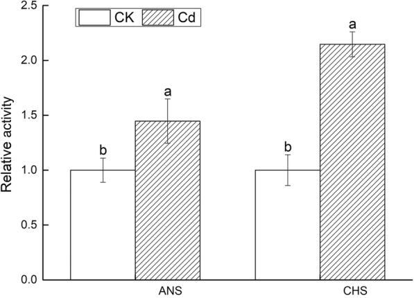 Fig. 5