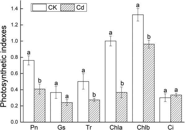 Fig. 7