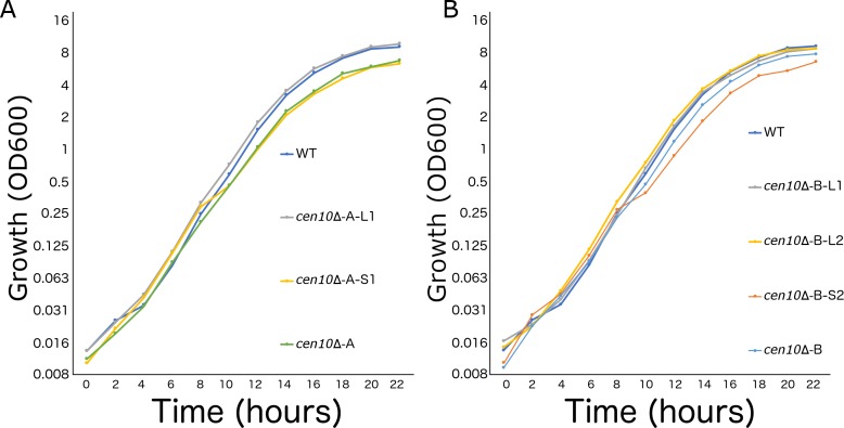 Figure 3—figure supplement 1.