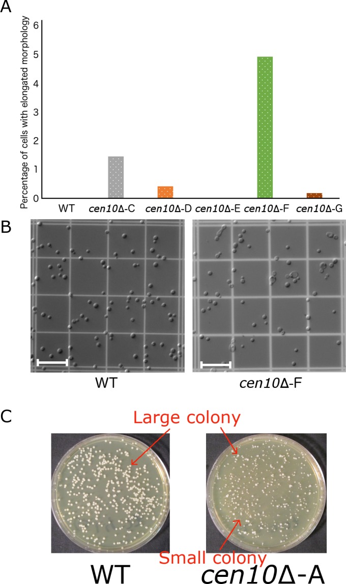 Figure 1—figure supplement 5.