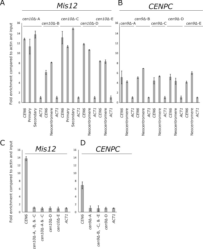 Figure 1—figure supplement 4.