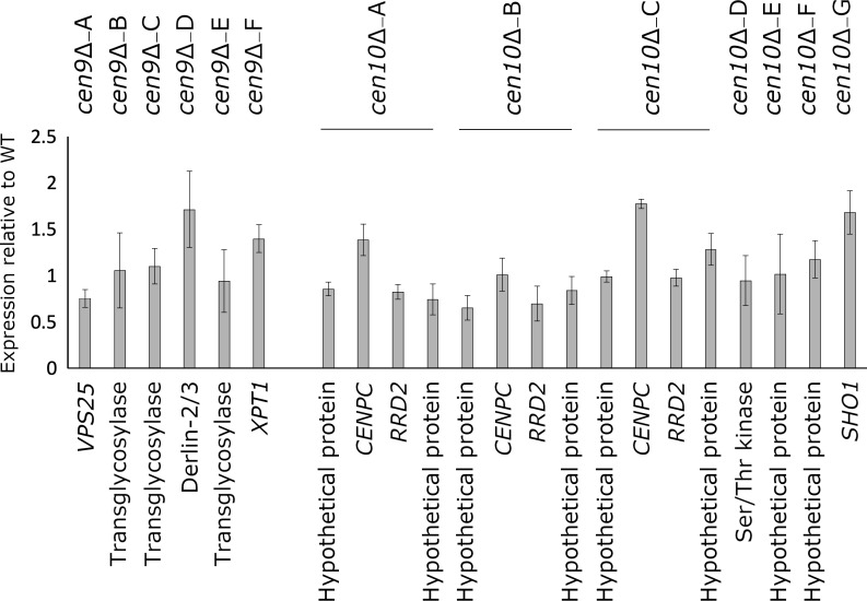 Figure 2.