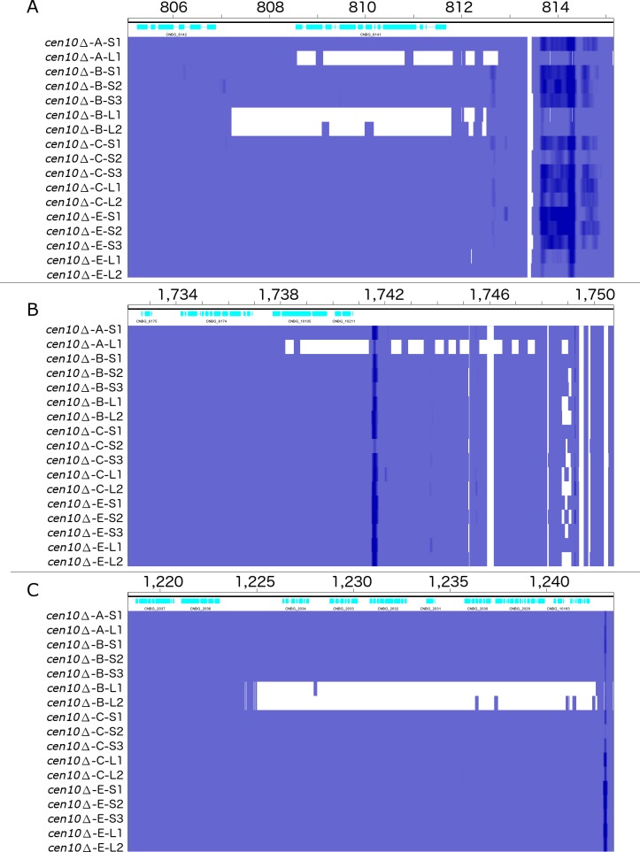 Figure 4—figure supplement 1.