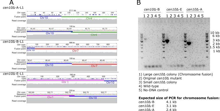 Figure 5—figure supplement 1.