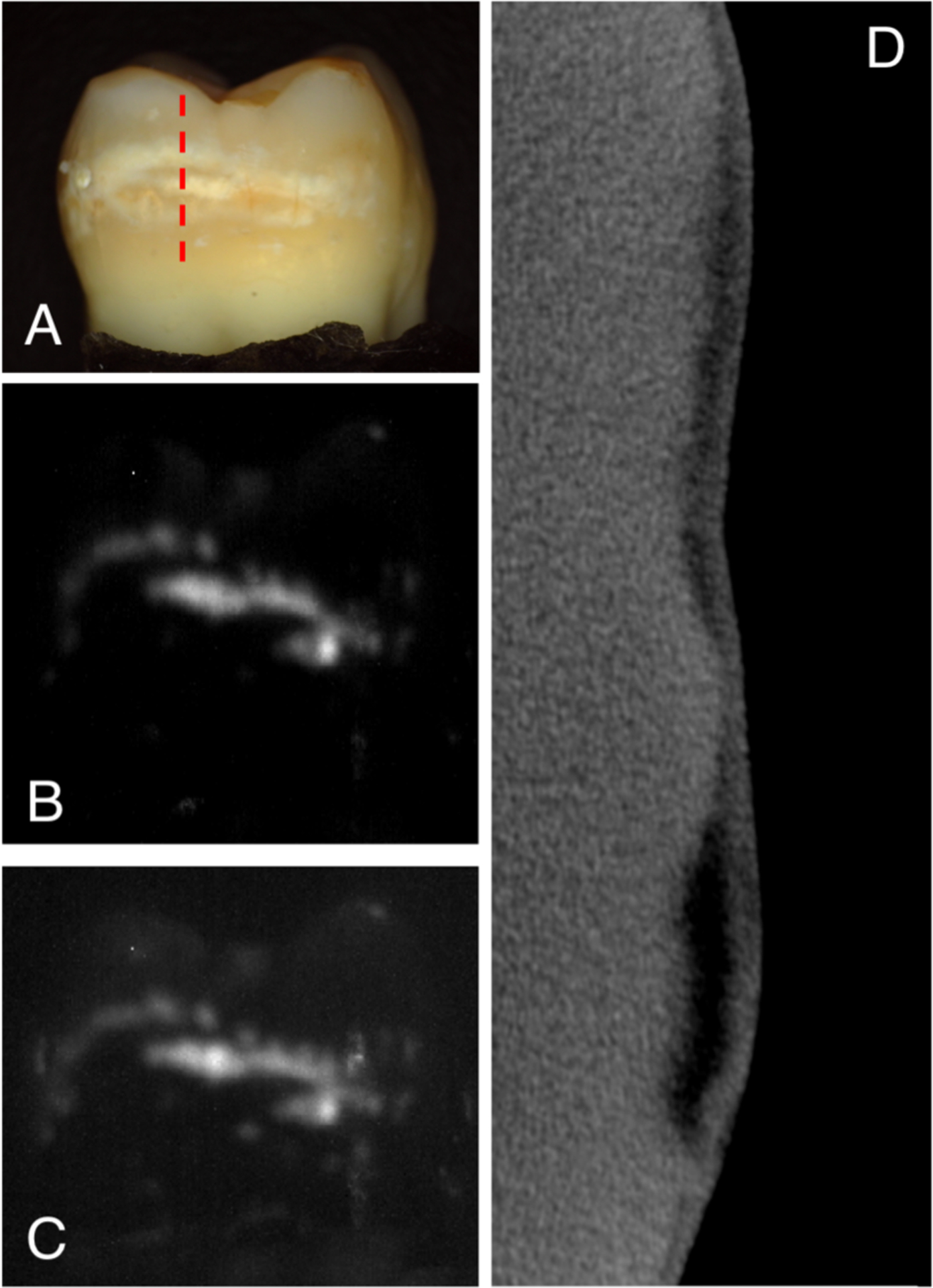 Fig. 2.