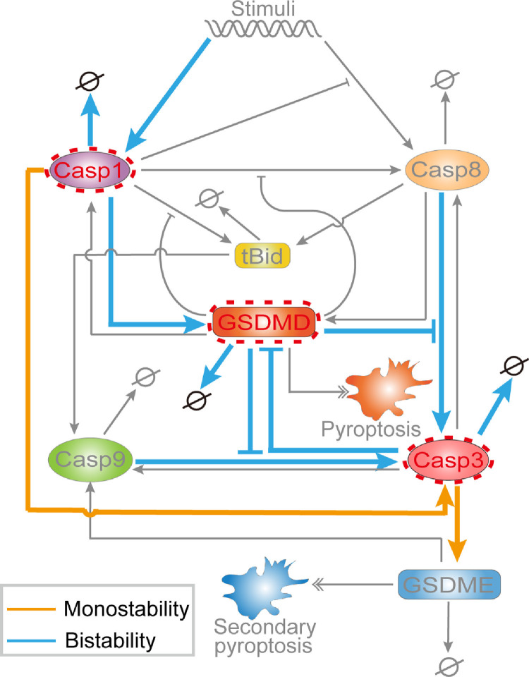 Fig 9