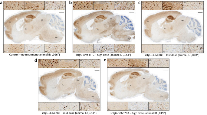 Fig. 10