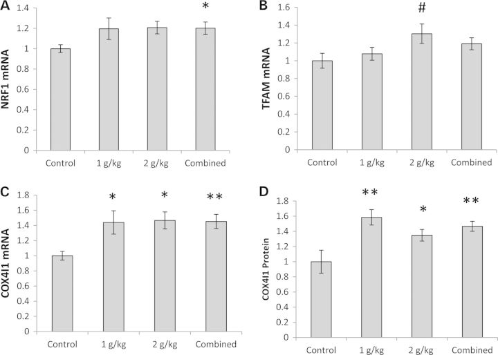 Figure 2.