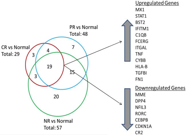 Figure 2