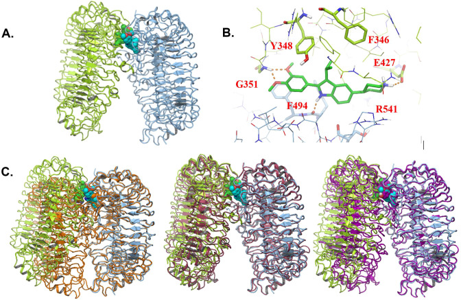 Figure 5