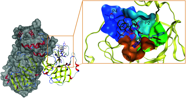 Fig. 3