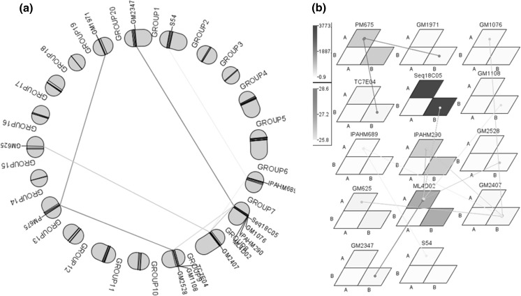 Fig. 1