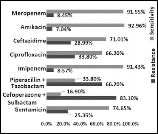 Fig.1