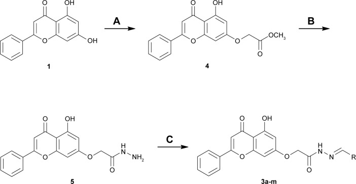 Scheme 1