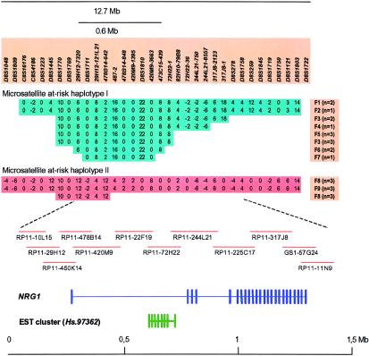 Figure  3