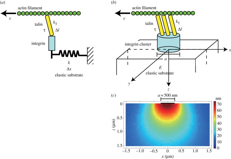 Figure 1.