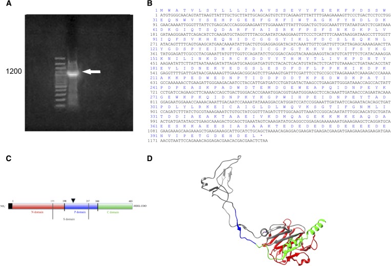 Figure 2.