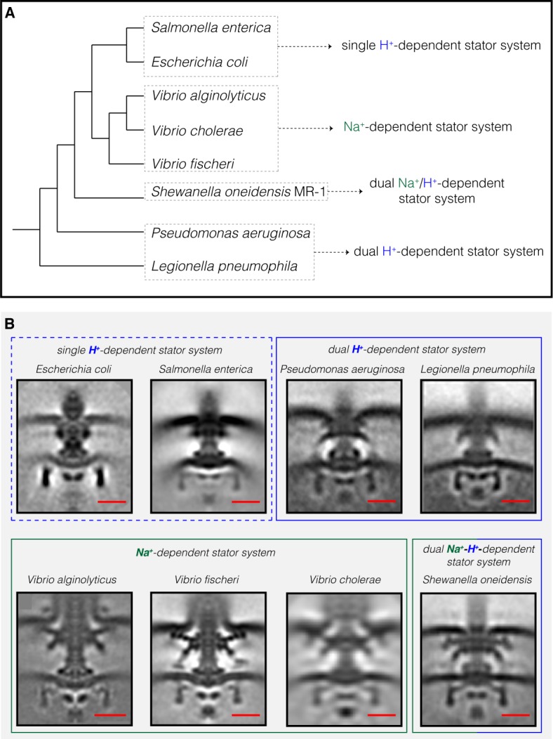 Figure 2.