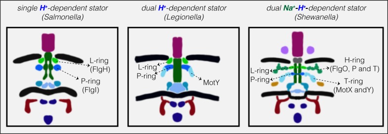 Figure 3.